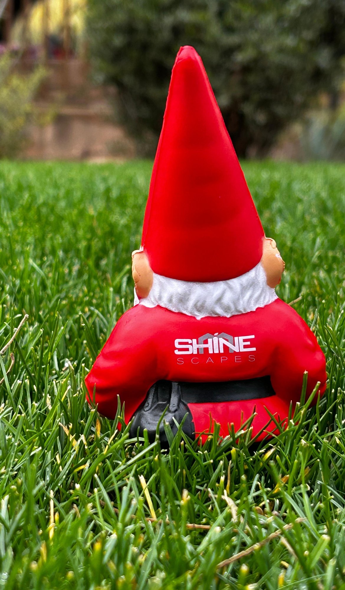 12-29-SHINEscapes-Gnome-1