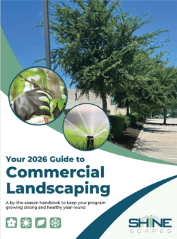 Year-round-landscaping-framed-image-SS-1