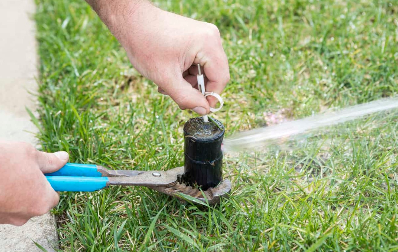 law-sprinkler-maintenance